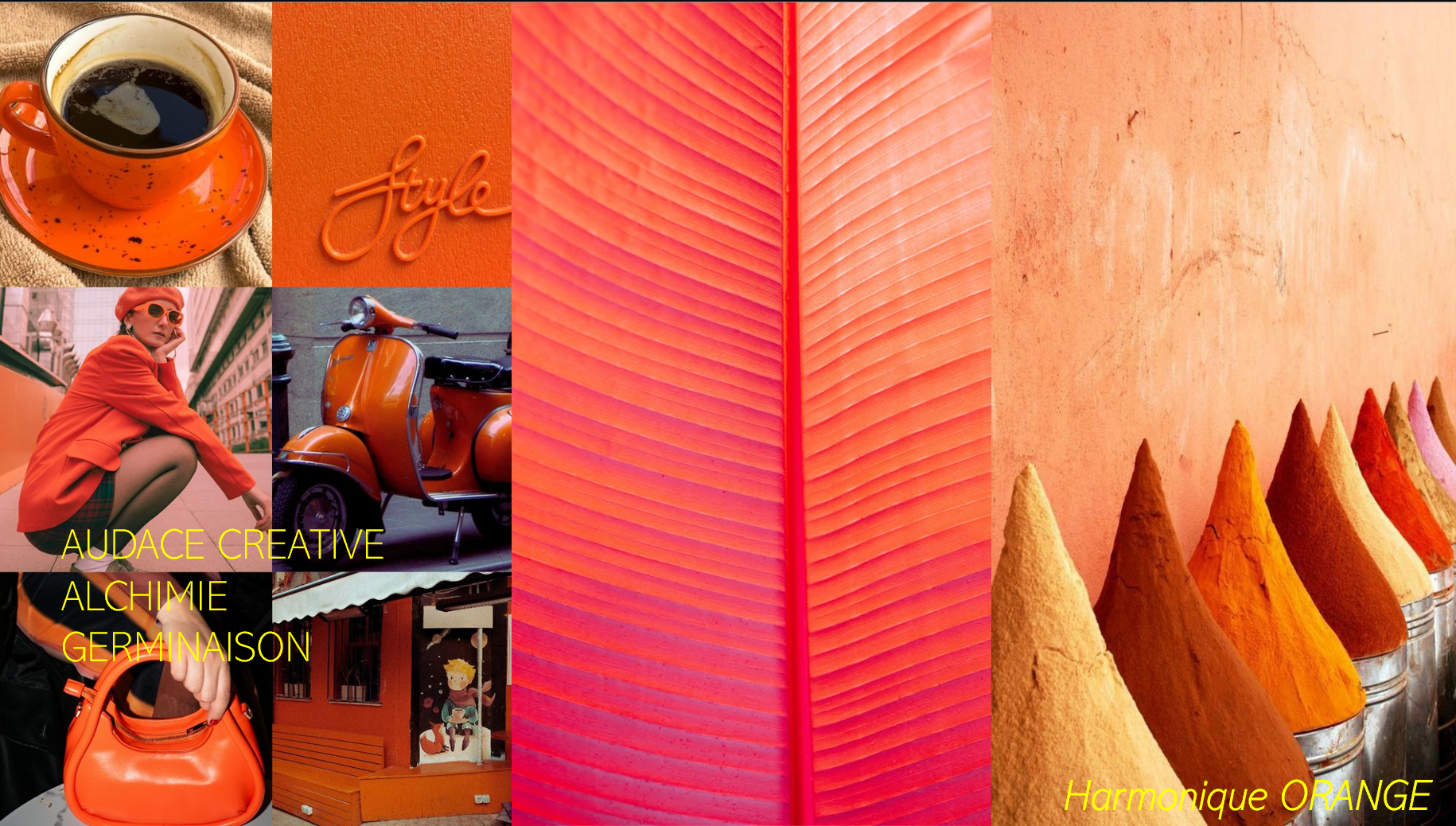 Harmonique Orange — LCDE©
