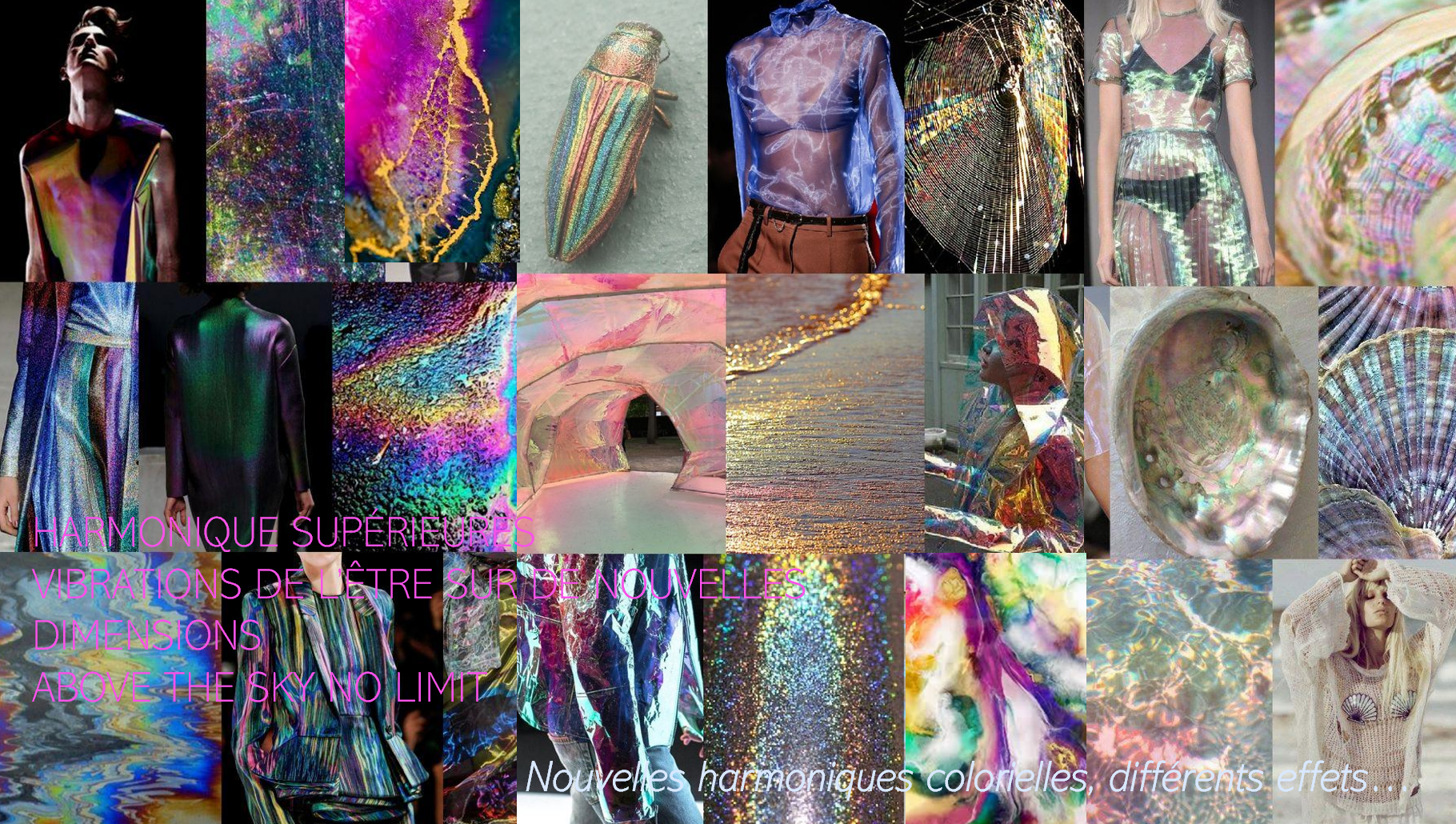 Harmonique Holo — LCDE©